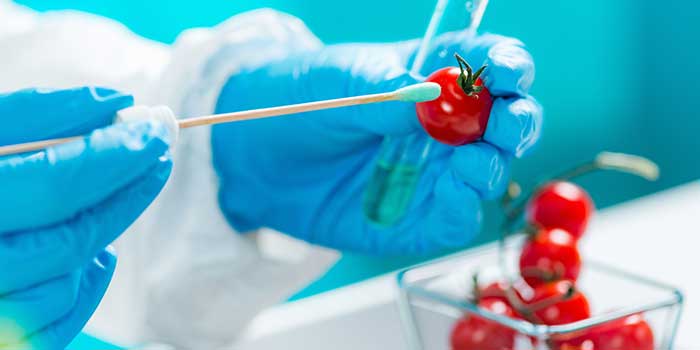 corso online Microbiologia alimentare per l'analisi del rischio