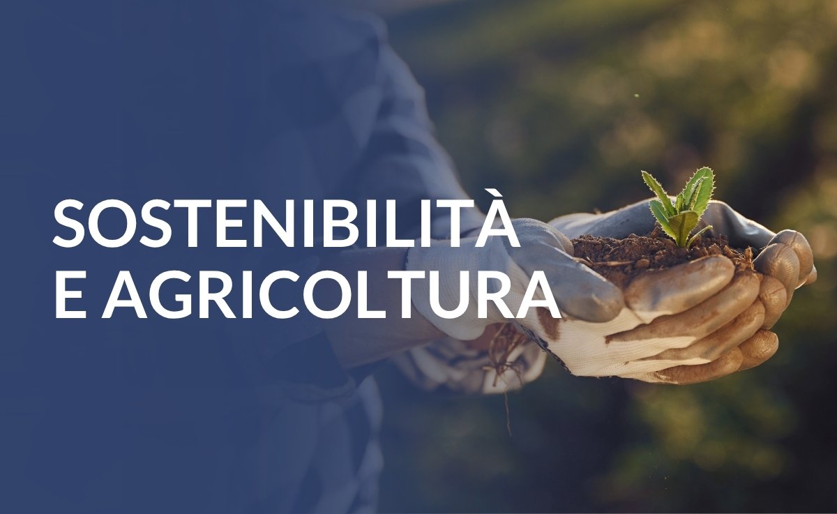 SOSTENIBILITÀ E AGRICOLTURA banner - mobile - aree - sostenibilità e agricoltura